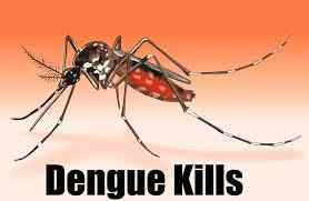 Dengue death in DK, 10 positive cases too